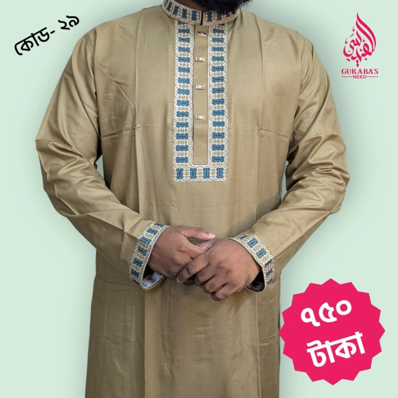 Exclusive Embrodary Panjabi 29